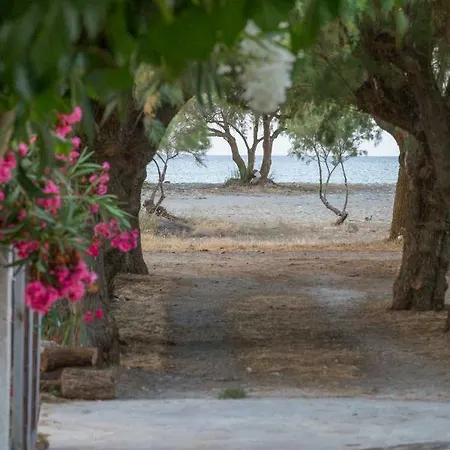Aadonis Traditional House On The Sea Vila